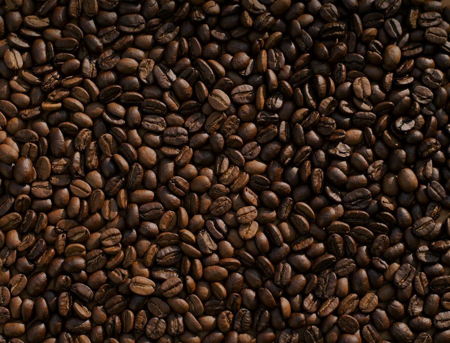 Freshly roasted coffee beans